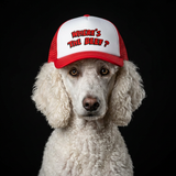 Where's the Beef? Retro Trucker Hat for Dogs