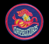 Groovy Retro Zodiac Patches